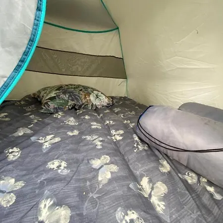 Cika's Camping * Borsh