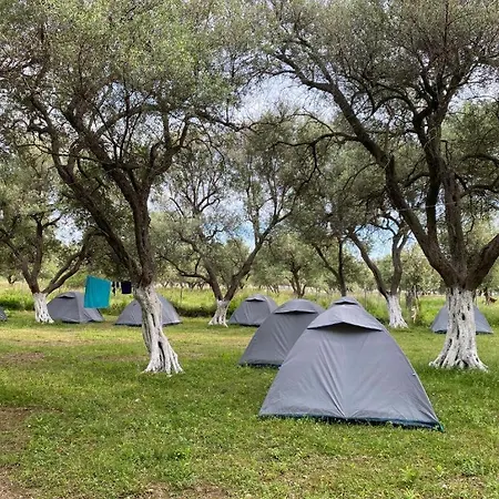 Cika's Camping *