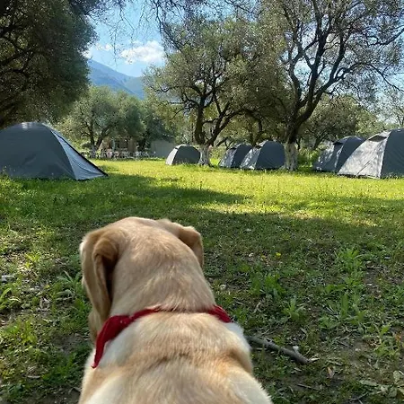 Cika's Camping Lyxtält Borsh